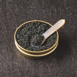 Sevruga Caviar