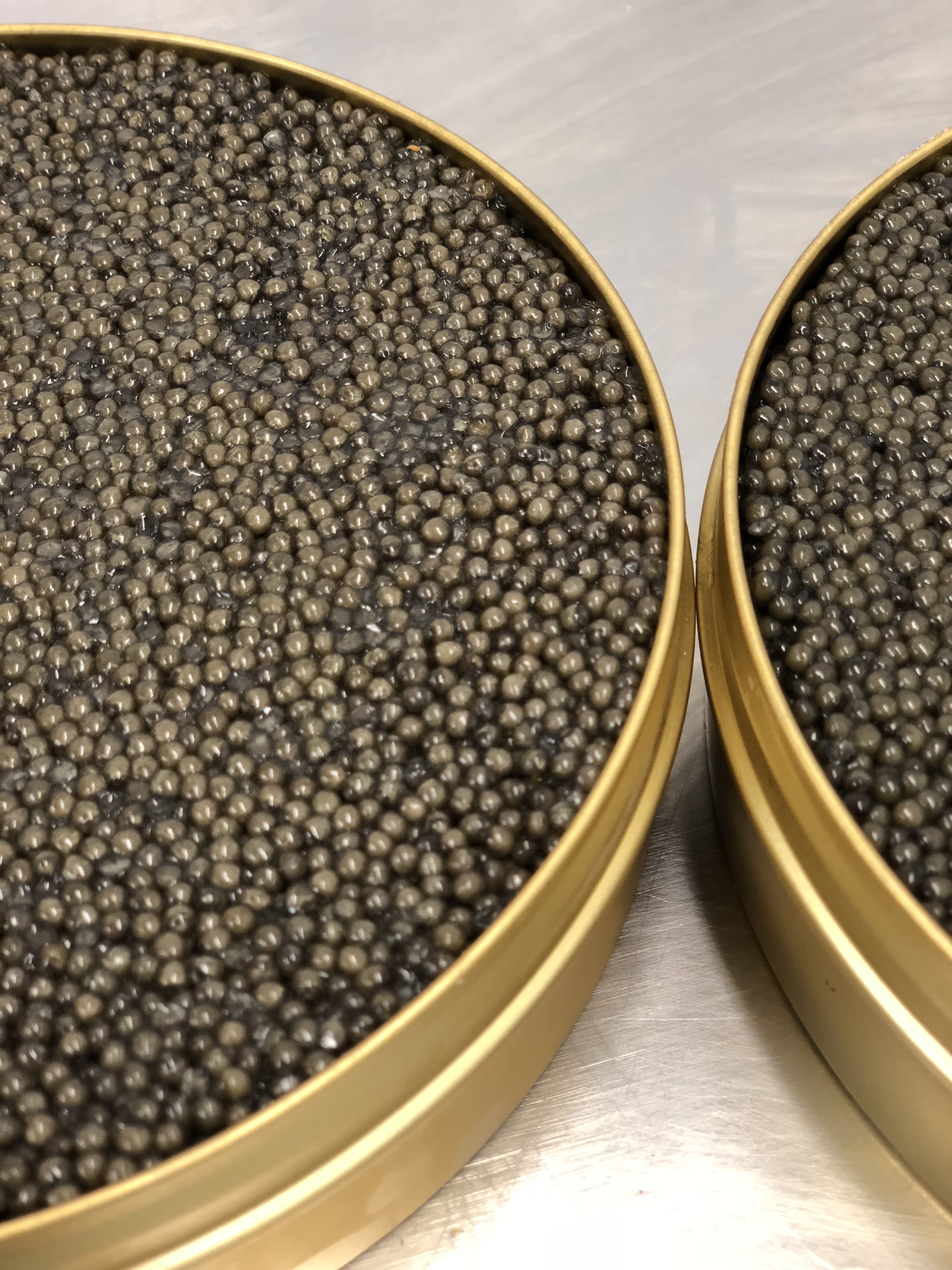 https://www.kingsfinefood.co.uk/kings-shop/wp-content/uploads/2019/11/Caviar-Facts.jpg