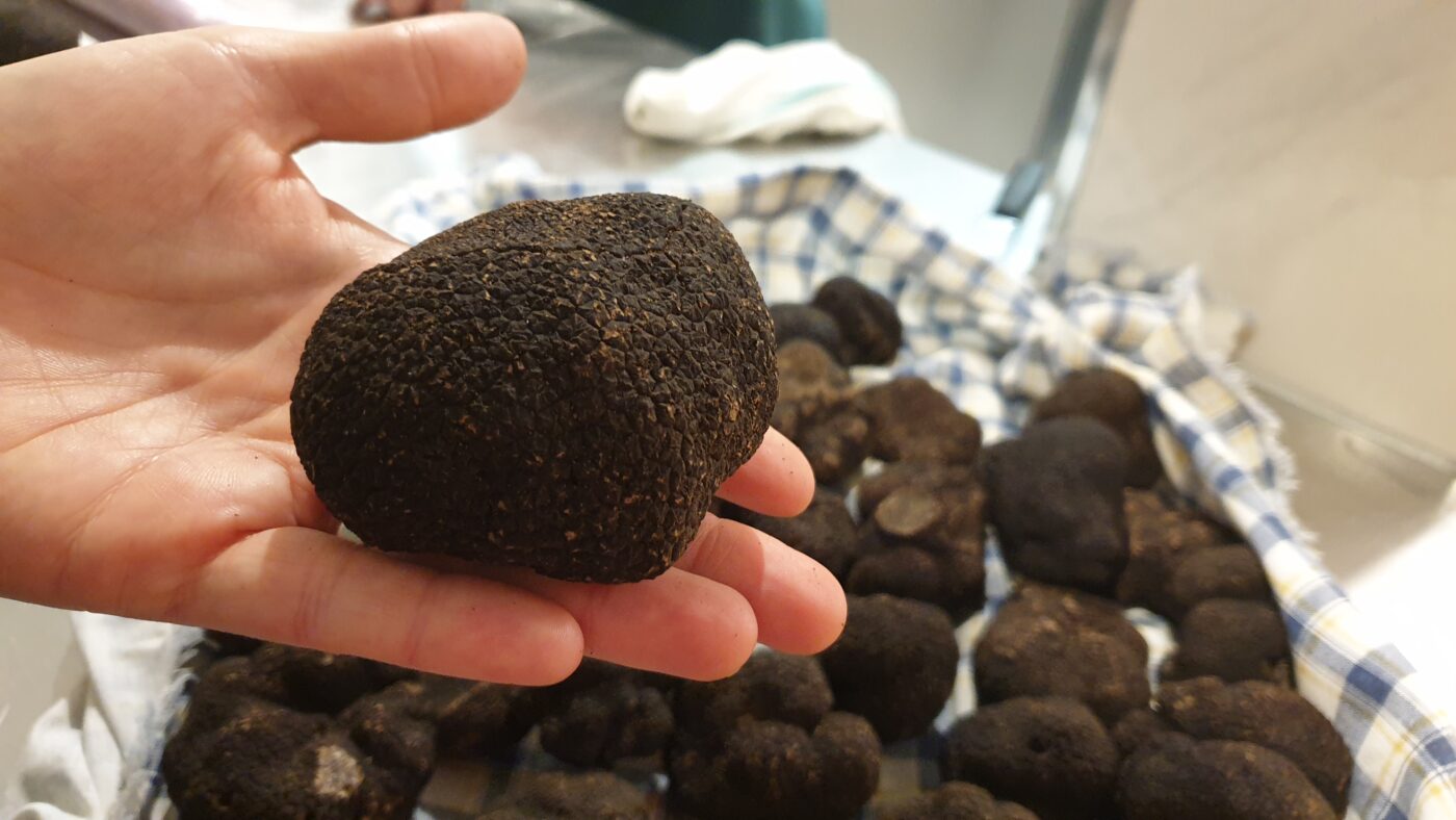 Black Winter Truffle