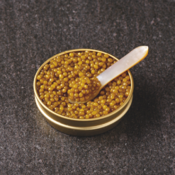 Royal Golden Oscietra Caviar